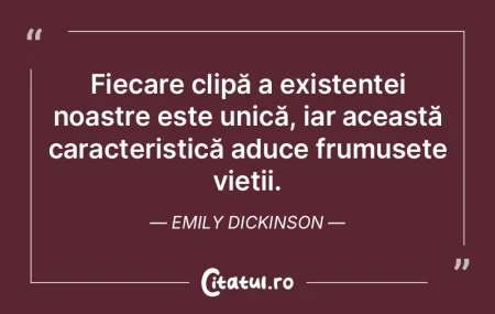 Fiecare existență reprezintă o călă... Fiecare existență reprezintă o călă...