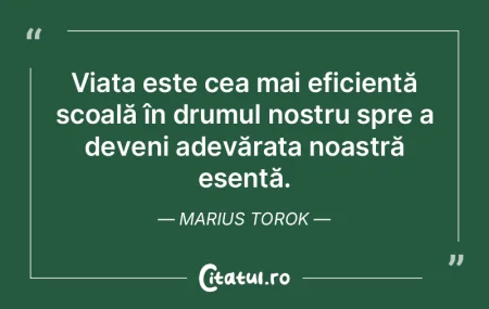 In poezie adeseori se sacrifica ideea pe...