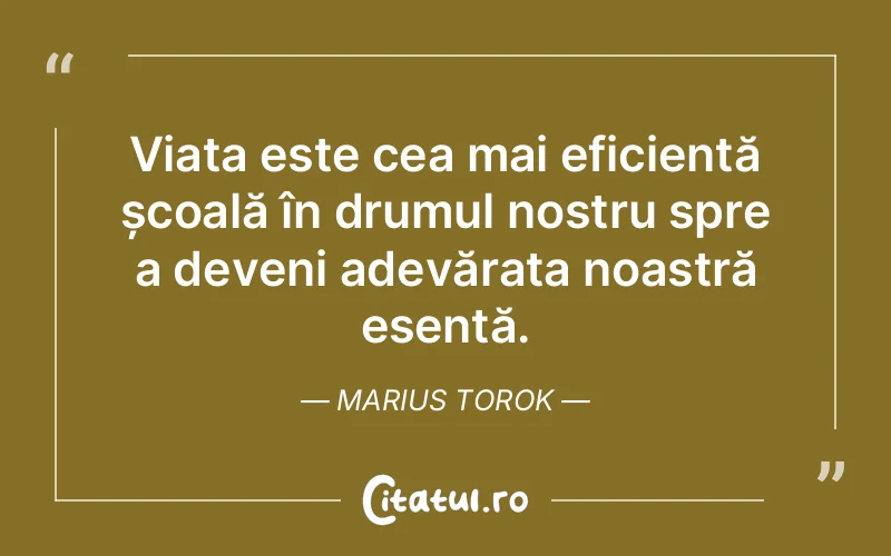 Citat Marius Torok - citate viata