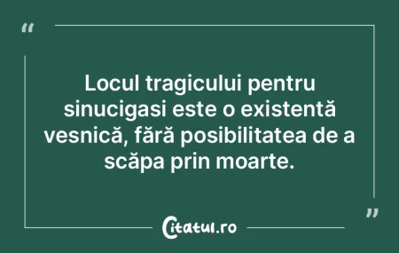 Poate că în una sau două vieți viito... Poate că în una sau două vieți viito...