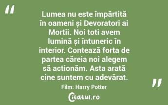 Lumea nu este împărțită în oameni și Devoratori ai Morții. Noi toți avem lumină și întuneric în interior. Contează forța de partea căreia noi alegem să acționăm. Asta arată cine suntem cu adevărat. Film: Harry Potter...