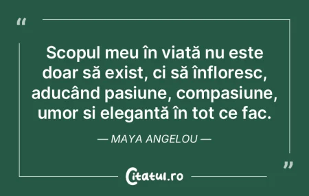 Viața își pierde sensul atunci când ... Viața își pierde sensul atunci când ...