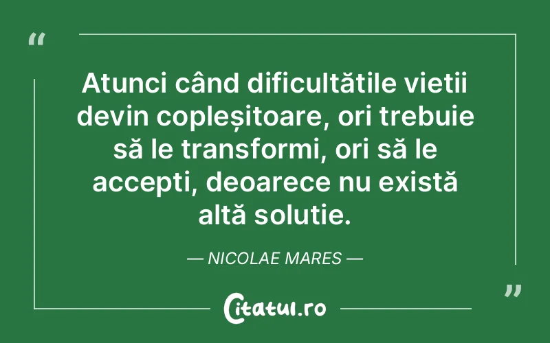 Citat Nicolae Mares - citate viata