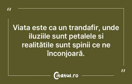 ViaÈ›a reprezintă o luptă constantă Ã... ViaÈ›a reprezintă o luptă constantă Ã...