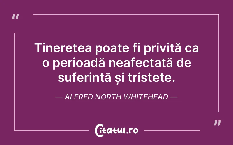 Citat Alfred North Whitehead - citate viata