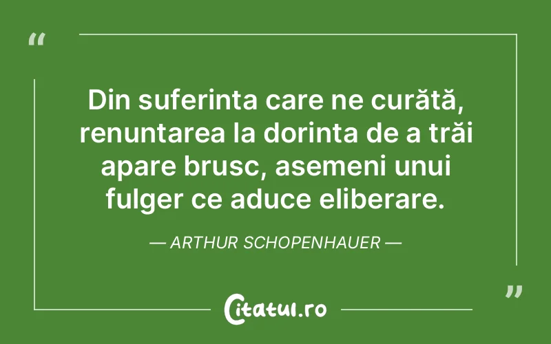 Citat Arthur Schopenhauer - citate viata