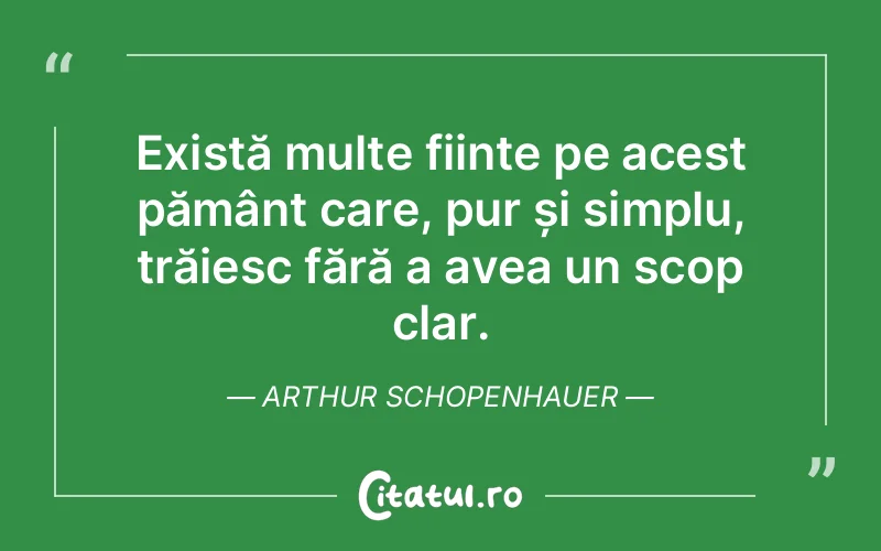 Citat Arthur Schopenhauer - citate viata