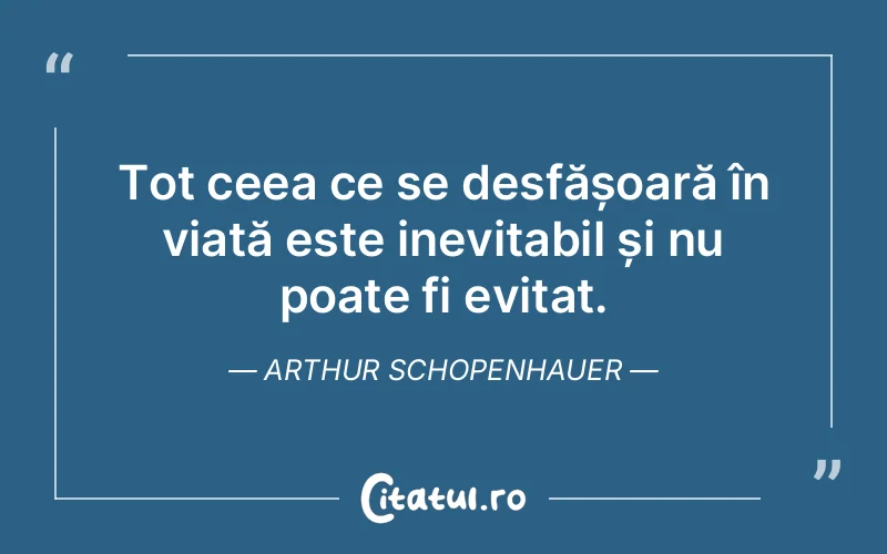 Citat Arthur Schopenhauer - citate viata