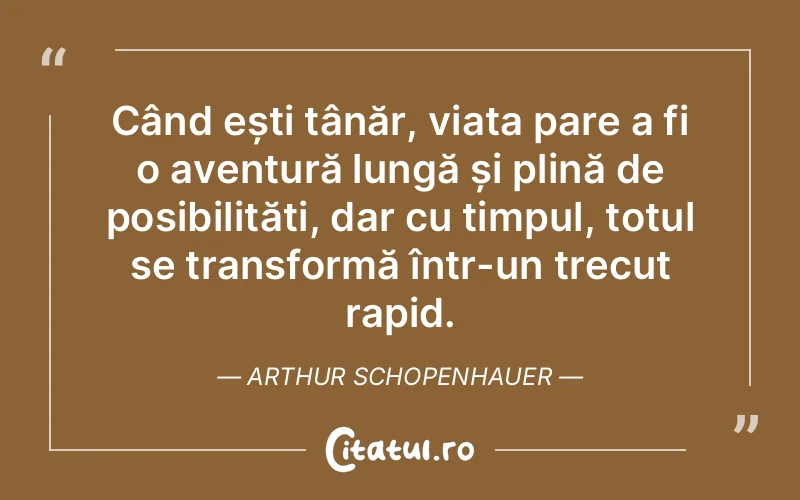 Citat Arthur Schopenhauer - citate viata