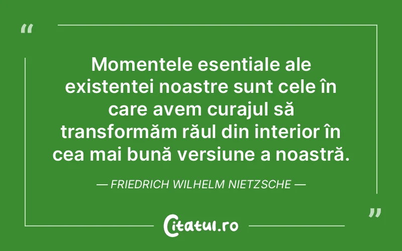 Citat Friedrich Wilhelm Nietzsche - citate viata