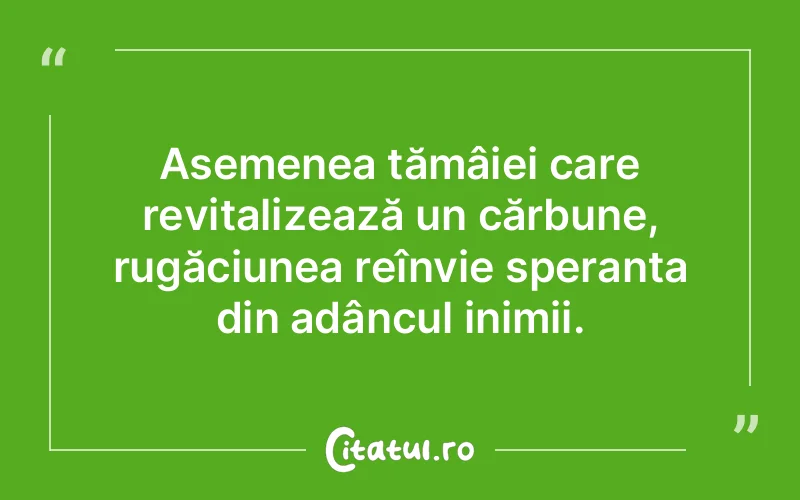 Citat Autor necunoscut - citate viata