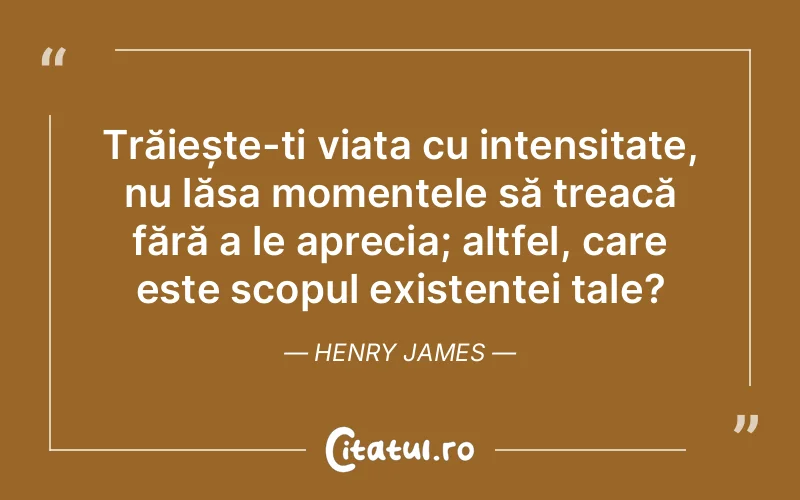 Citat Henry James - citate viata