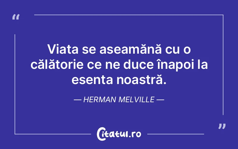 Citat Herman Melville - citate viata