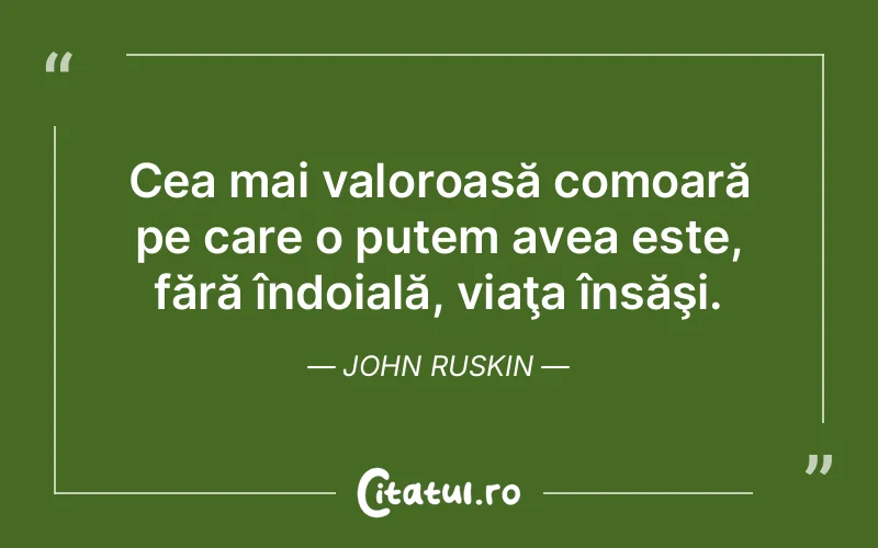 Citat John Ruskin - citate viata