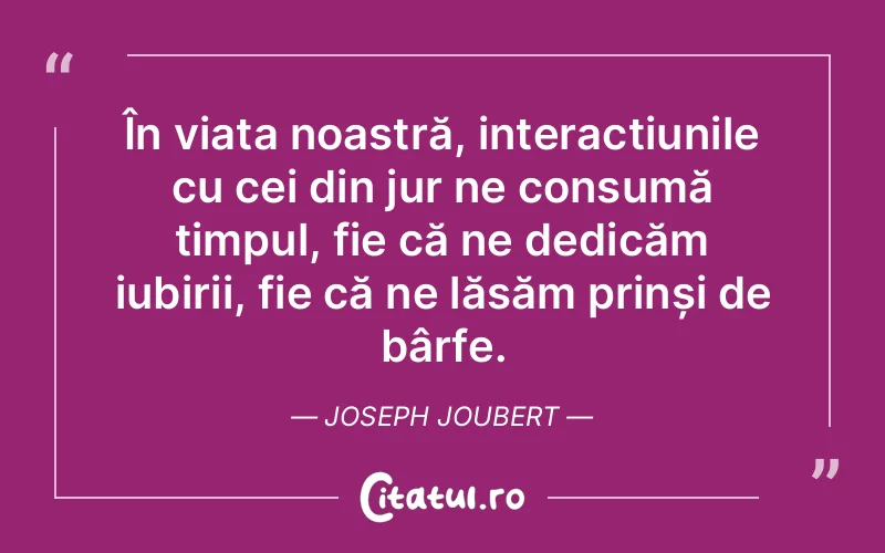 Citat Joseph Joubert - citate viata