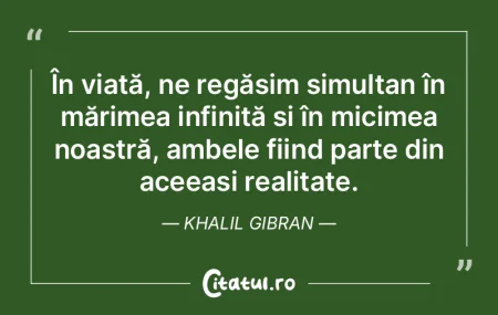 Conexiunea pe care o avem reprezintă ce...