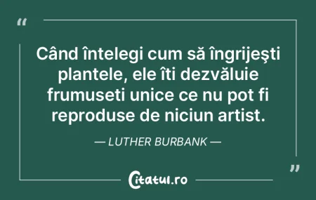 Fiecare existență reprezintă o călă...