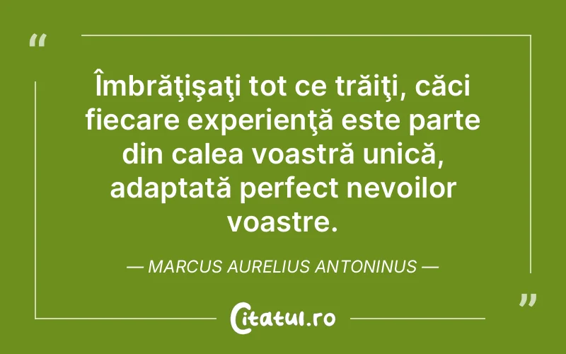 Citat Marcus Aurelius Antoninus - citate viata