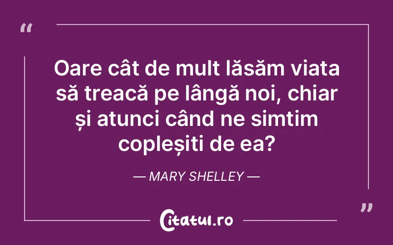 Citat Mary Shelley - citate viata