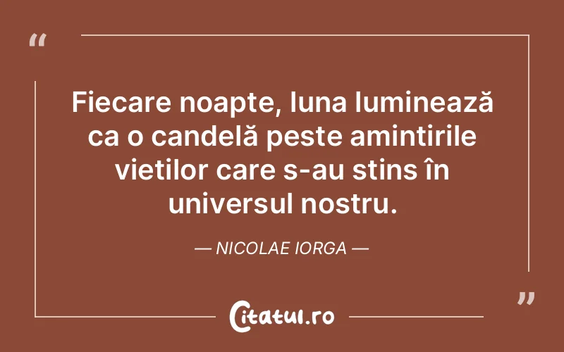 Citat Nicolae Iorga - citate viata