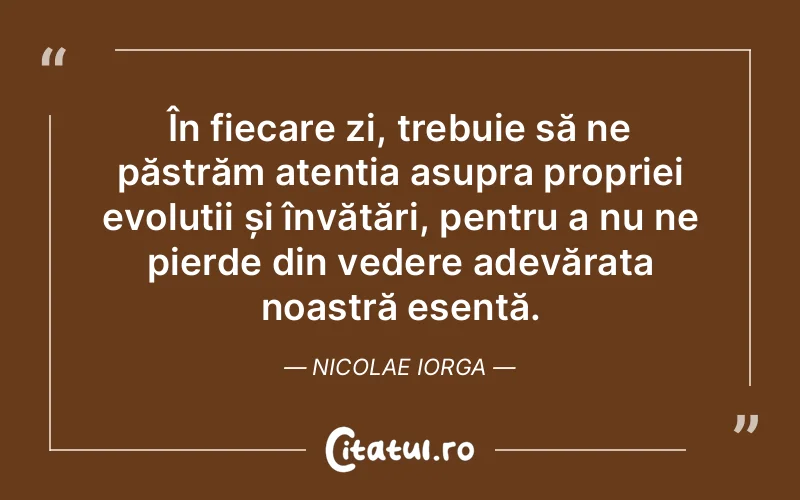 Citat Nicolae Iorga - citate viata