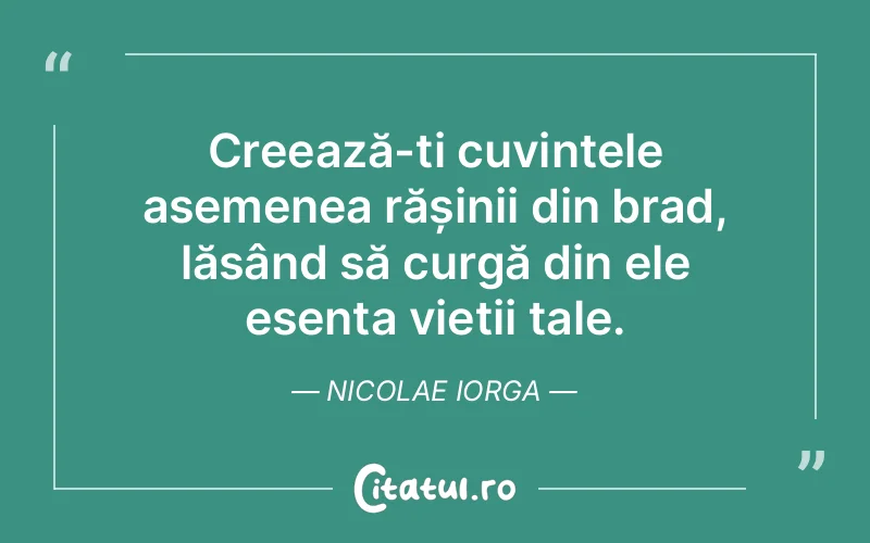 Citat Nicolae Iorga - citate viata