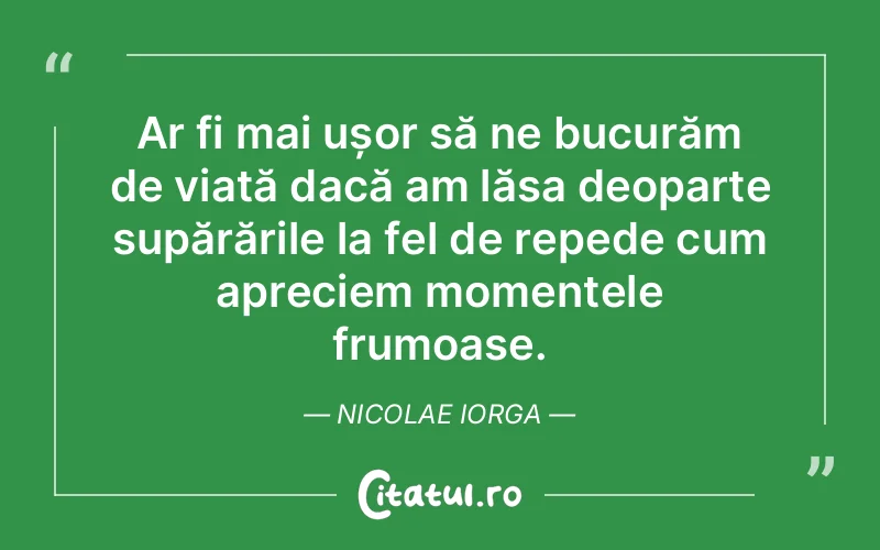 Citat Nicolae Iorga - citate viata