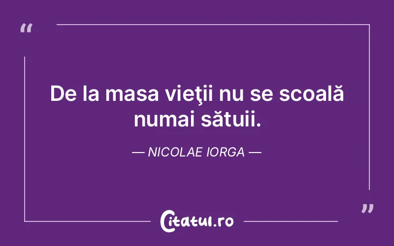 Citat Nicolae Iorga - citate viata