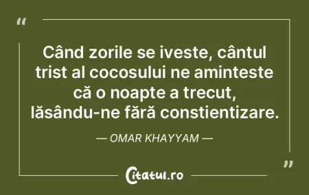 În artă, adevărata reflecție provine... În artă, adevărata reflecție provine...