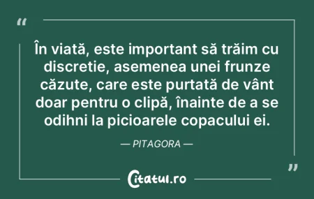 Alegeți să conduceți doar acei bărba... Alegeți să conduceți doar acei bărba...