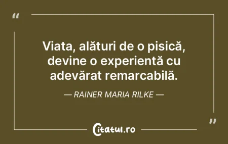 În orice situație, viața își urmeaz... În orice situație, viața își urmeaz...