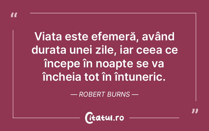 Citat Robert Burns - citate viata