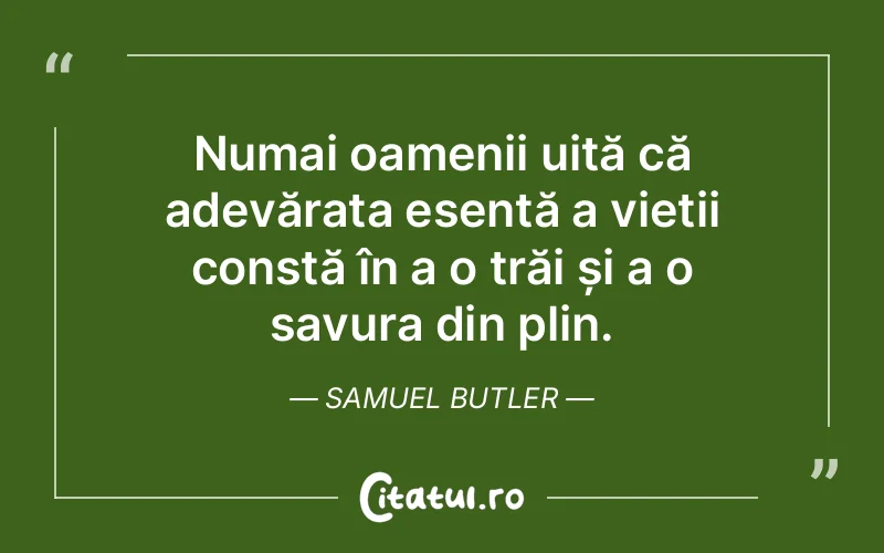 Citat Samuel Butler - citate viata