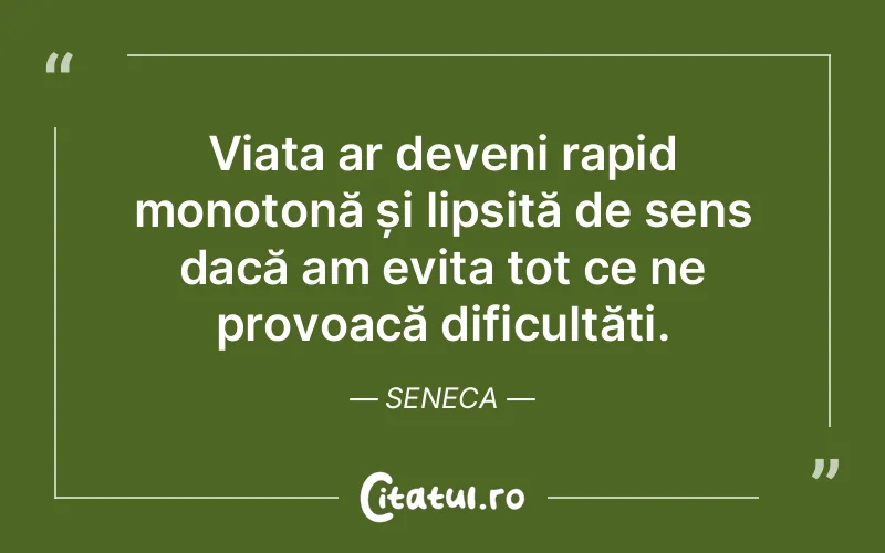 Citat Seneca - citate viata