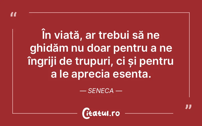 Citat Seneca - citate viata