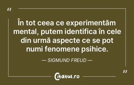 Umorul pe care îl creăm în viața de ...