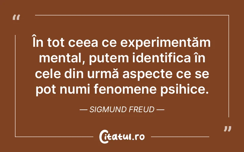 Citat Sigmund Freud - citate viata