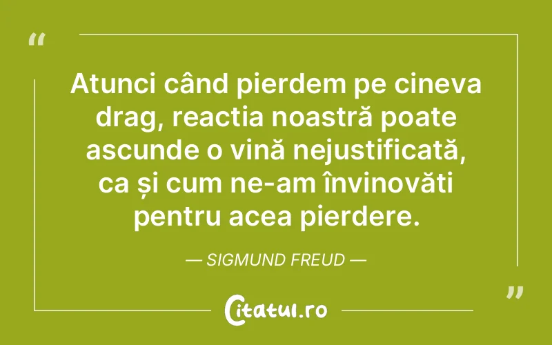 Citat Sigmund Freud - citate viata