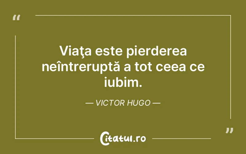 Citat Victor Hugo - citate viata