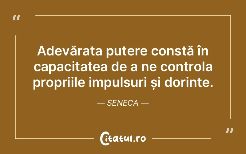 Citat Seneca - citate viata