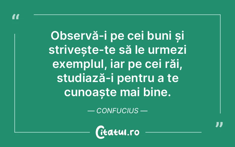 Citat Confucius - citate viata