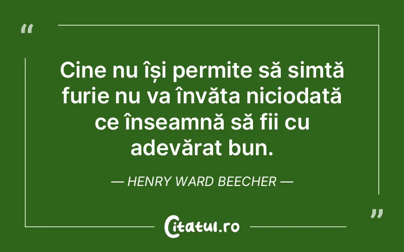 Citat Henry Ward Beecher - citate viata
