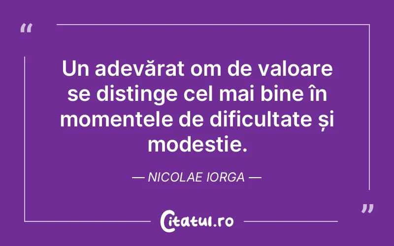 Citat Nicolae Iorga - citate viata