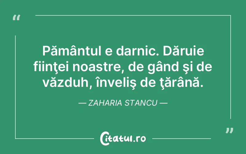 Citat Zaharia Stancu - citate viata