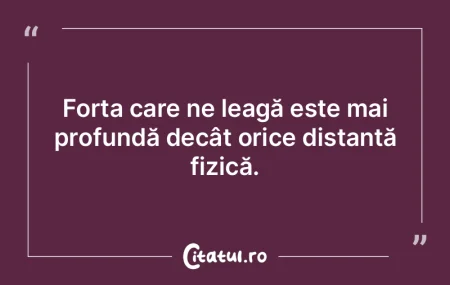 Fără ignoranță, cei înțelepți ar ...