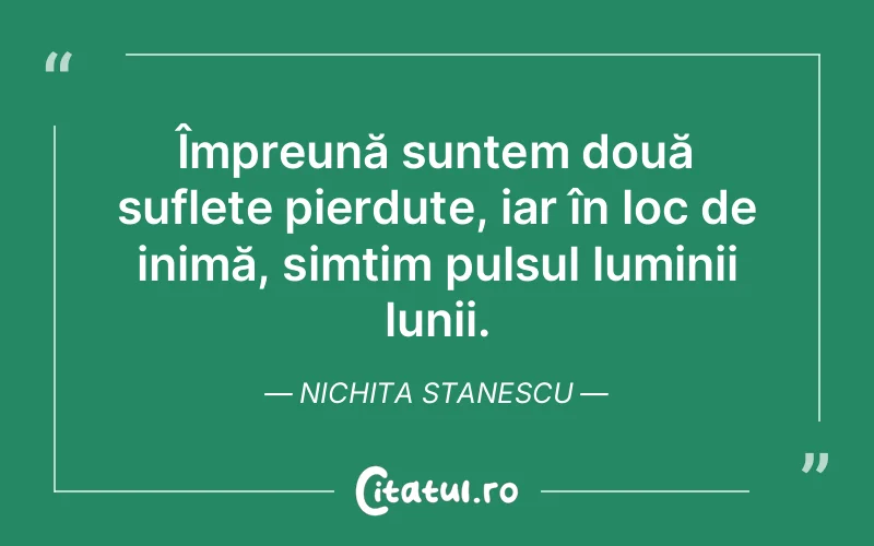 Citat Nichita Stanescu - citate viata