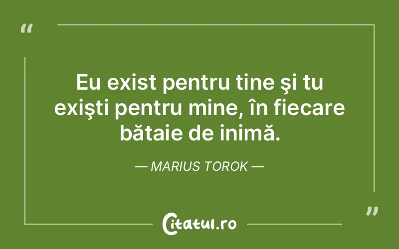 Citat Marius Torok - citate viata
