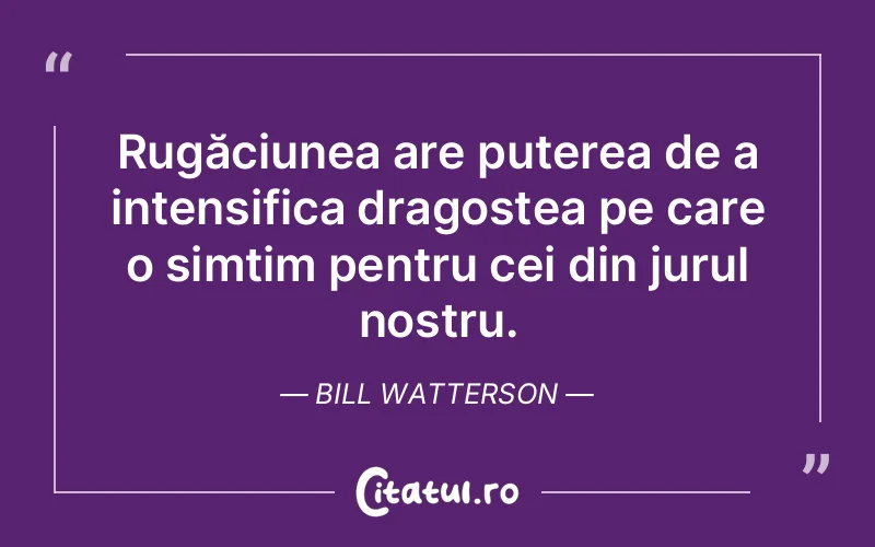 Citat Bill Watterson - citate viata