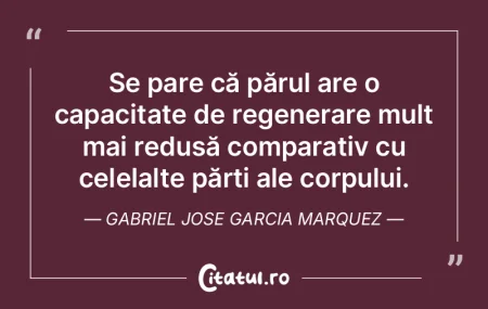 Alta ar fi fost viaÅ£a lor dacă ar fi Å... Alta ar fi fost viaÅ£a lor dacă ar fi Å...