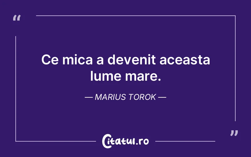 Citat Marius Torok - citate viata